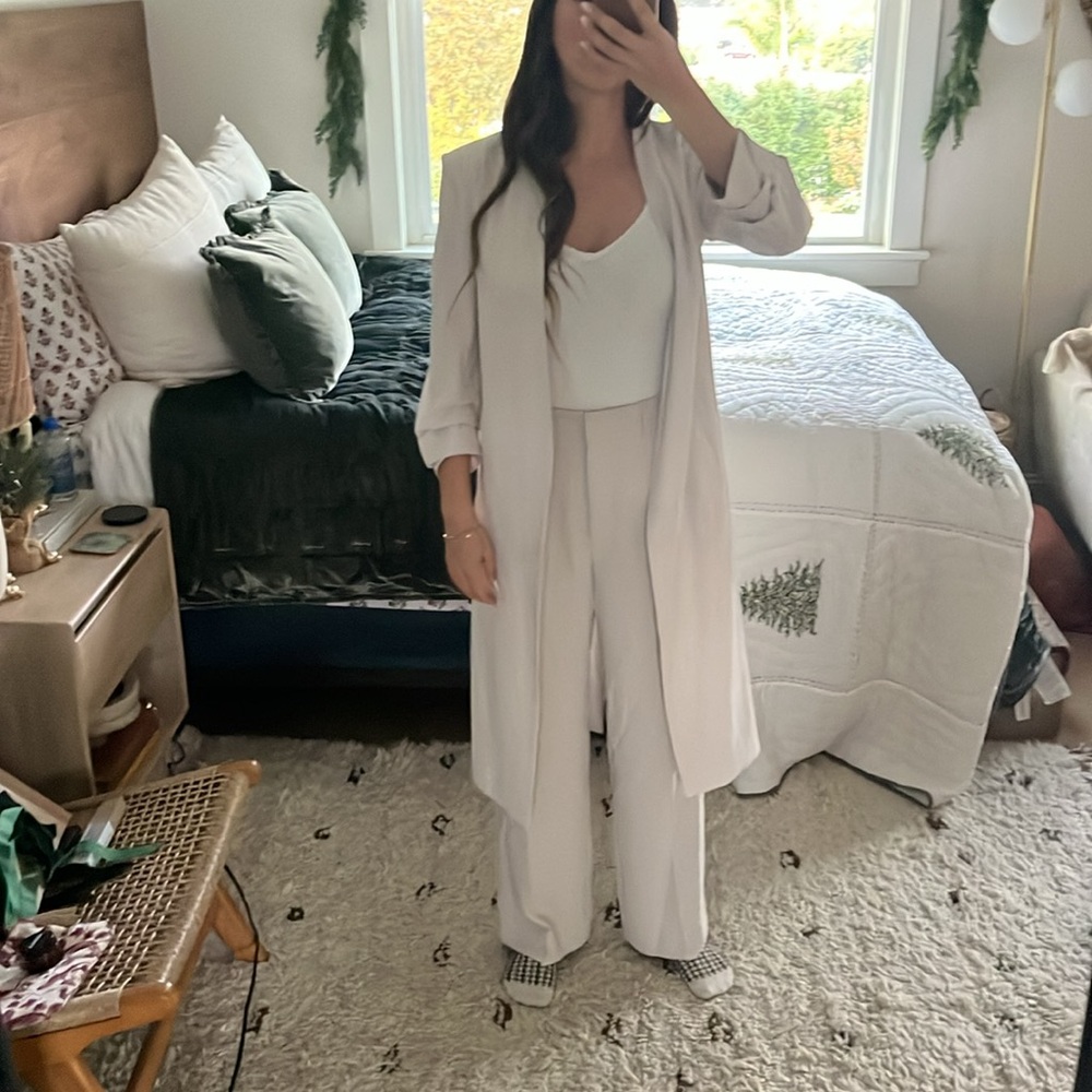 Aritzia Babaton Long Suit Jacket